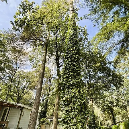 Chalet Serene Comfort, Rust En Sauna *