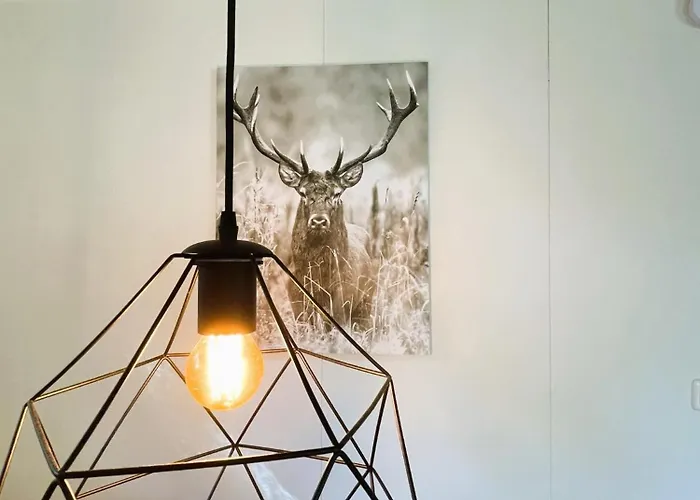 Serene Comfort, Rust En Sauna * Hoenderloo