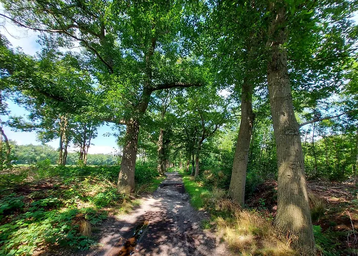 Serene Comfort, Rust En Sauna Domek alpejski