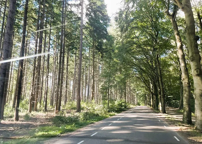 Serene Comfort, Rust En Sauna *